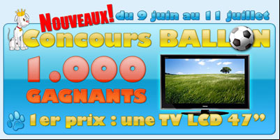 Concours ballon sur findjeux