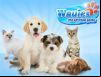 Wauies