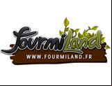 Jouer à Fourmiland